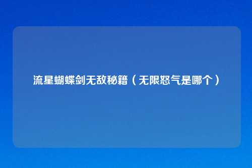 流星蝴蝶剑无敌秘籍（无限怒气是哪个）