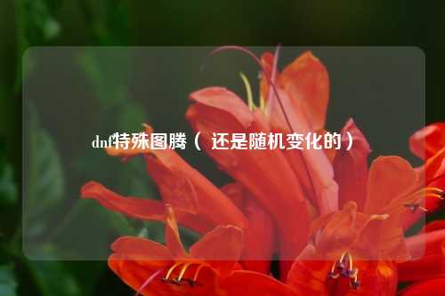 dnf特殊图腾（ 还是随机变化的）