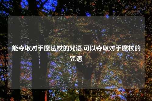 能夺取对手魔法杖的咒语,可以夺取对手魔杖的咒语