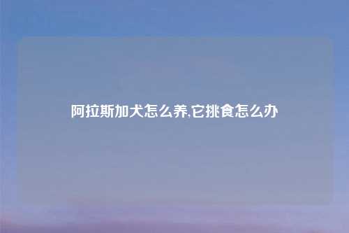 阿拉斯加犬怎么养,它挑食怎么办