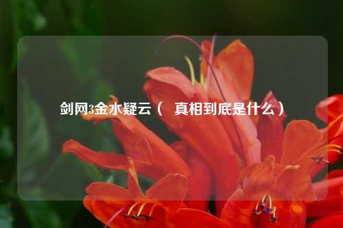 剑网3金水疑云（  真相到底是什么）