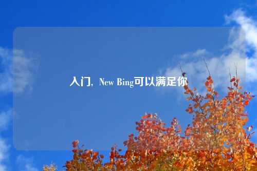 入门,  New Bing可以满足你