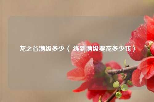 龙之谷满级多少（ 练到满级要花多少钱）