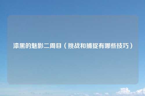 漆黑的魅影二周目（挑战和捕捉有哪些技巧）