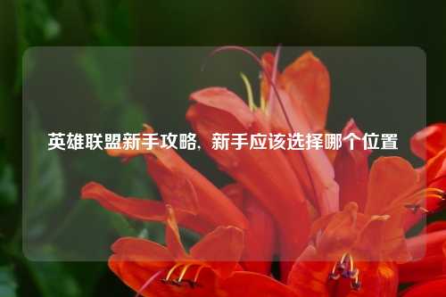 英雄联盟新手攻略,  新手应该选择哪个位置