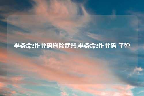 半条命2作弊码删除武器,半条命2作弊码 子弹