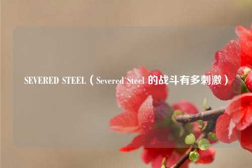SEVERED STEEL（Severed Steel 的战斗有多刺激）