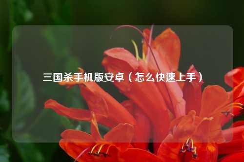 三国杀手机版安卓（怎么快速上手）