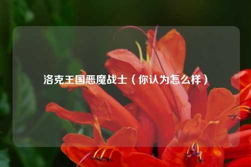 洛克王国恶魔战士（你认为怎么样）