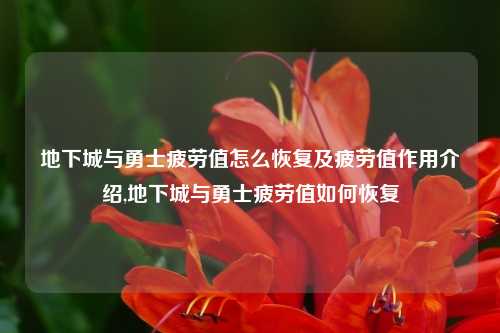 地下城与勇士疲劳值怎么恢复及疲劳值作用介绍,地下城与勇士疲劳值如何恢复