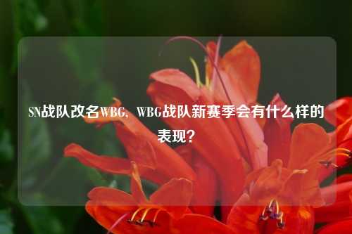 SN战队改名WBG,  WBG战队新赛季会有什么样的表现？
