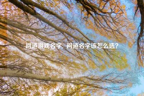 问道游戏名字,  问道名字该怎么选？