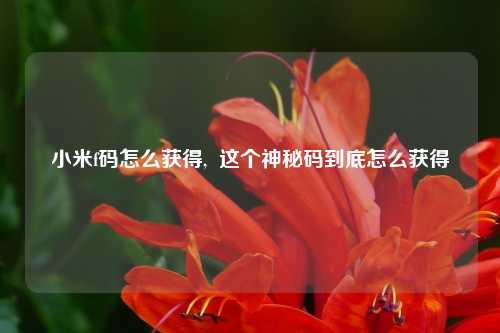 小米f码怎么获得,  这个神秘码到底怎么获得