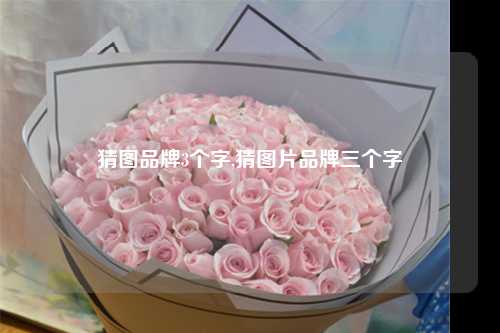 猜图品牌3个字,猜图片品牌三个字