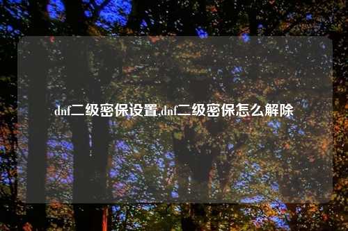 dnf二级密保设置,dnf二级密保怎么解除