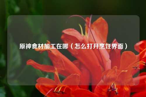 原神食材加工在哪（怎么打开烹饪界面）