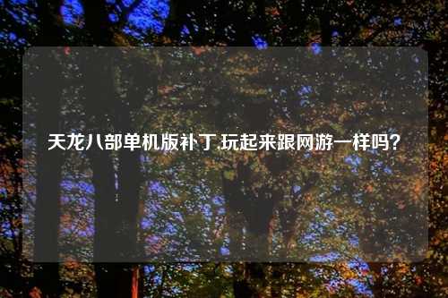 天龙八部单机版补丁,玩起来跟网游一样吗？