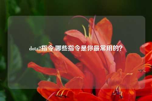 dota2指令,哪些指令是你最常用的？