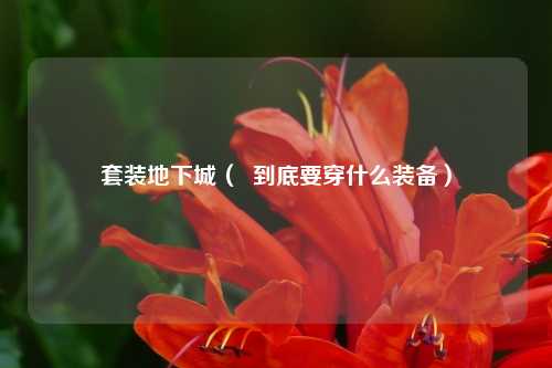 套装地下城（  到底要穿什么装备）