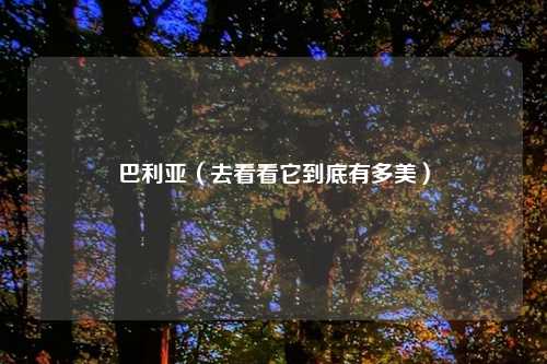 巴利亚（去看看它到底有多美）