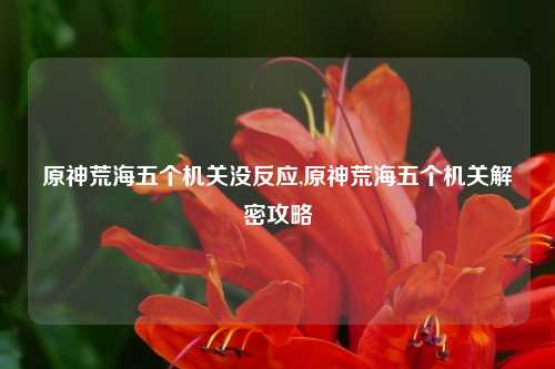 原神荒海五个机关没反应,原神荒海五个机关解密攻略