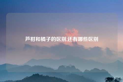 芦柑和橘子的区别,还有哪些区别