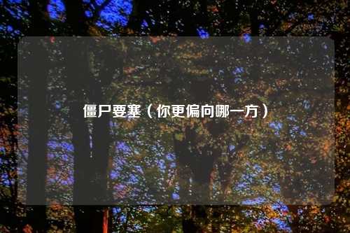 僵尸要塞（你更偏向哪一方）