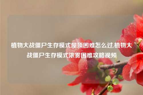 植物大战僵尸生存模式屋顶困难怎么过,植物大战僵尸生存模式浓雾困难攻略视频