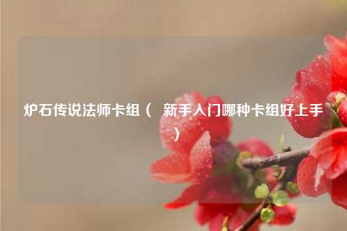 炉石传说法师卡组（  新手入门哪种卡组好上手）