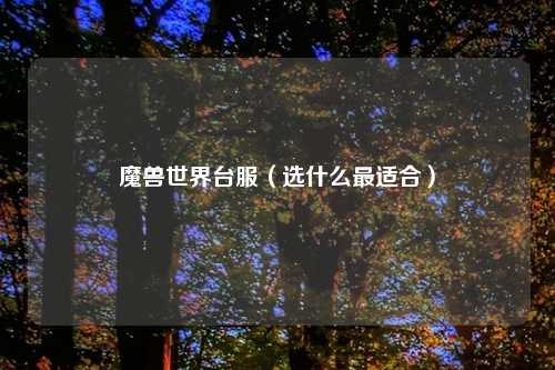 魔兽世界台服（选什么最适合）