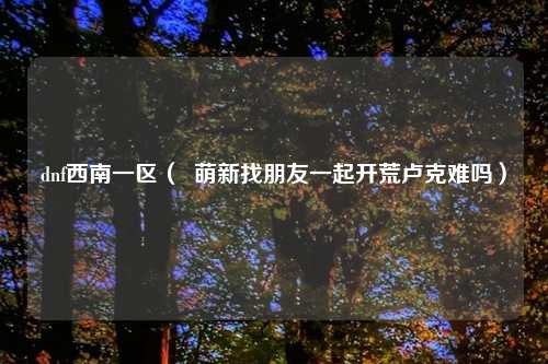 dnf西南一区（  萌新找朋友一起开荒卢克难吗）