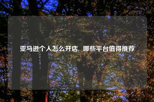 亚马逊个人怎么开店,  哪些平台值得推荐