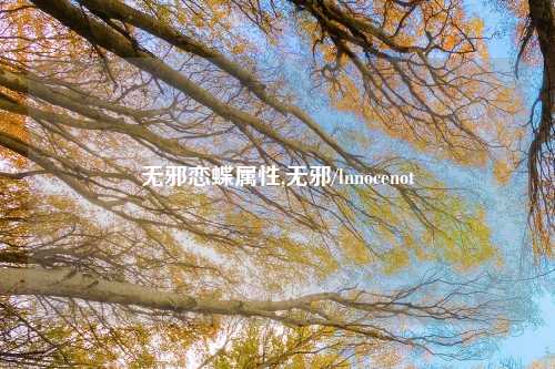 无邪恋蝶属性,无邪/lnnocenot