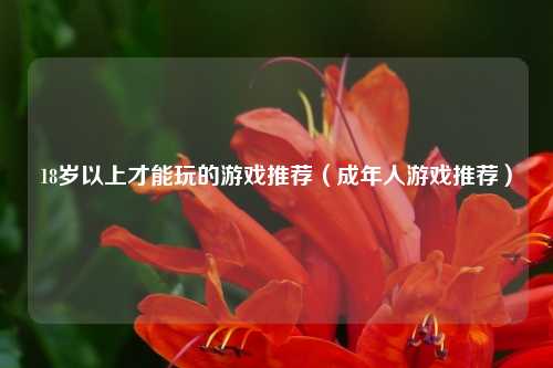 18岁以上才能玩的游戏推荐（成年人游戏推荐）