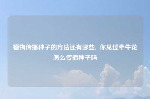 植物传播种子的方法还有哪些,  你见过牵牛花怎么传播种子吗