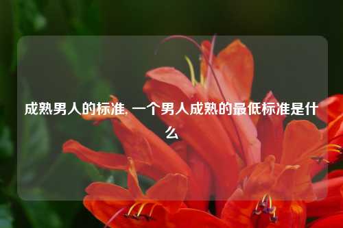 成熟男人的标准, 一个男人成熟的最低标准是什么