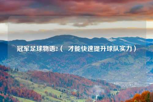 冠军足球物语2（  才能快速提升球队实力）