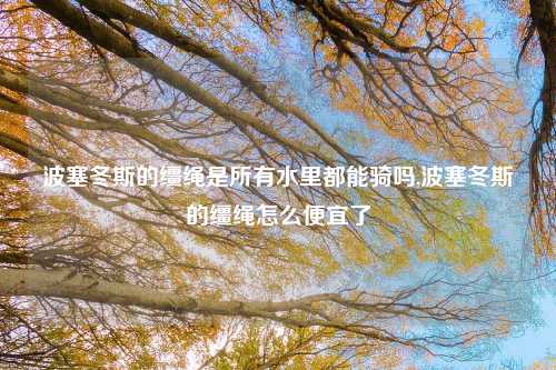 波塞冬斯的缰绳是所有水里都能骑吗,波塞冬斯的缰绳怎么便宜了