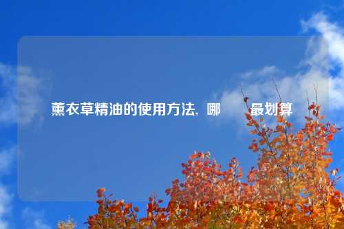 薰衣草精油的使用方法,  哪裡買最划算