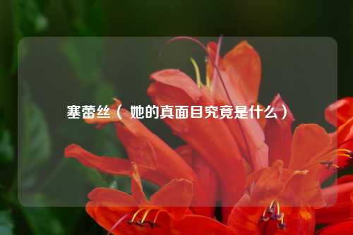 塞蕾丝（ 她的真面目究竟是什么）