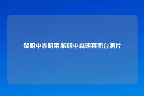 黎明中森明菜,黎明中森明菜同台照片