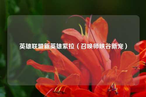 英雄联盟新英雄紫拉（召唤师峡谷新宠）