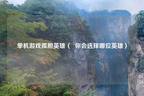 单机游戏孤胆英雄（  你会选择哪位英雄）