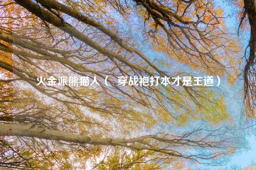 火金派熊猫人（  穿战袍打本才是王道）