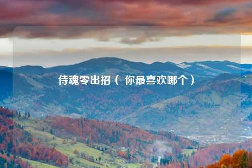 侍魂零出招（ 你最喜欢哪个）