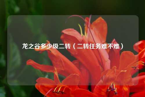 龙之谷多少级二转（二转任务难不难）