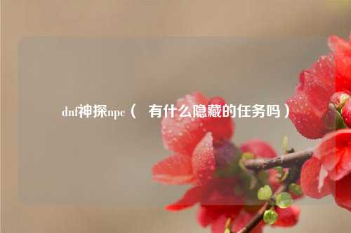 dnf神探npc（  有什么隐藏的任务吗）