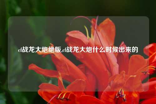 cf战龙大炮绝版,cf战龙大炮什么时候出来的