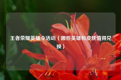 王者荣耀英雄令活动（哪些英雄和皮肤值得兑换）