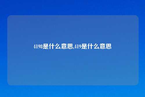 4198是什么意思,419是什么意思